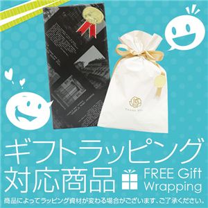 �v���[���g���b�s���O�Ή����i